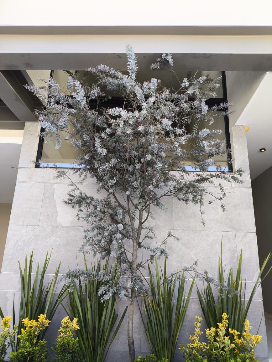 Asturias Residencial: Arquitectura contemporánea · 273.58 m² de construcción